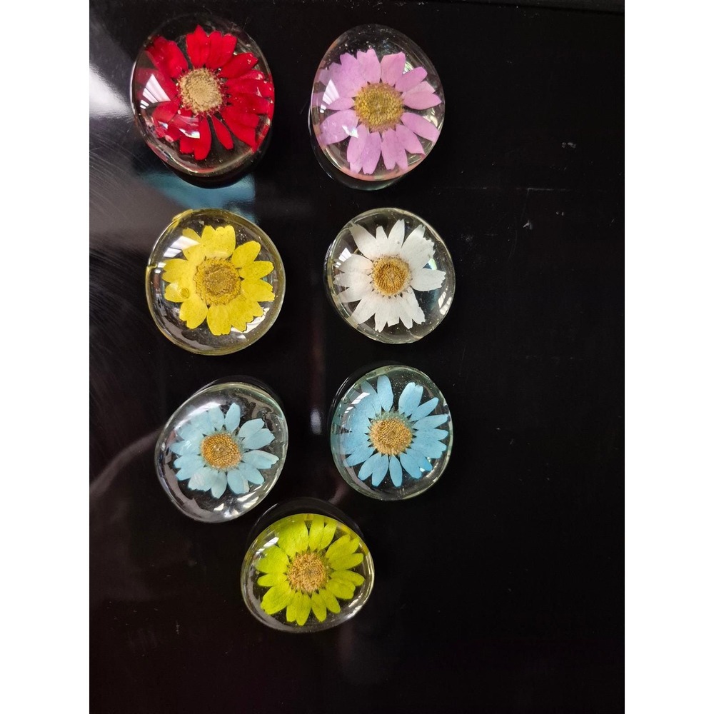 Set 7 Vintage Resin Daisy Magnets Set Retro Pressed Flower Lucite Kitchen Decor